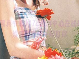 17c黑料中心在线揭秘，娱乐圈内情一网打尽