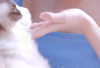 www..51最新吃瓜动态免费看，观看热点轻松掌握