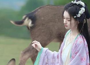 万篇长征黑料不打烊655fun吃瓜利器，教你如何顺利登录体验多彩内容