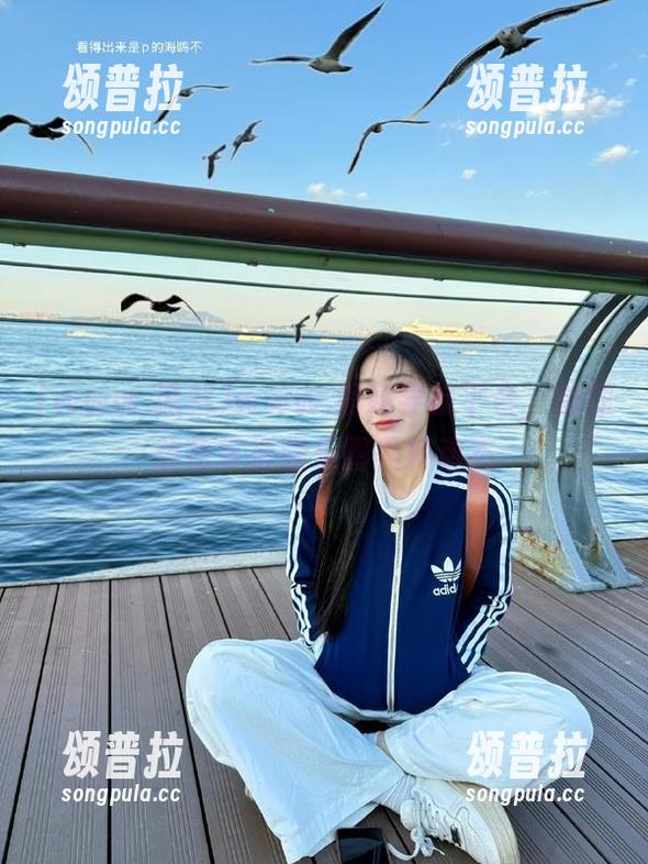 www.黑料导航平台，助你轻松掌握娱乐圈黑料动态