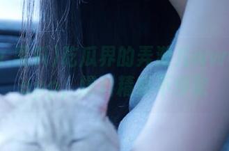 吃瓜界的弄潮儿www.黑料app，爆料精彩不停歇