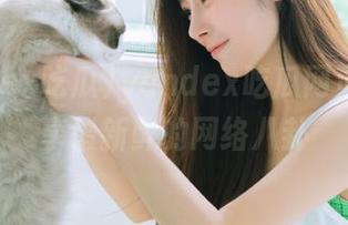 yandex吃瓜网页带你畅享最新鲜的网络八卦