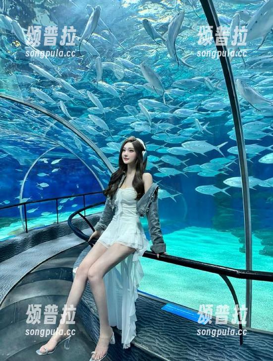 五一吃瓜传送门内，今日吃瓜娜娜的勇者传说