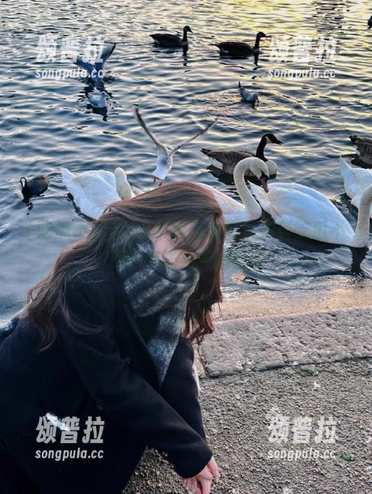 永不迷路指南：黑料吃瓜不打烊在线实时追热点