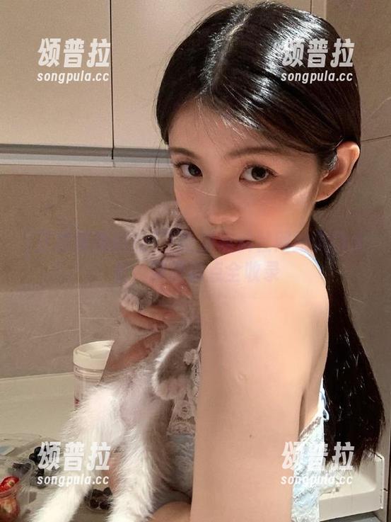 正能量黑料社网站入口大全，精彩瓜点全收录