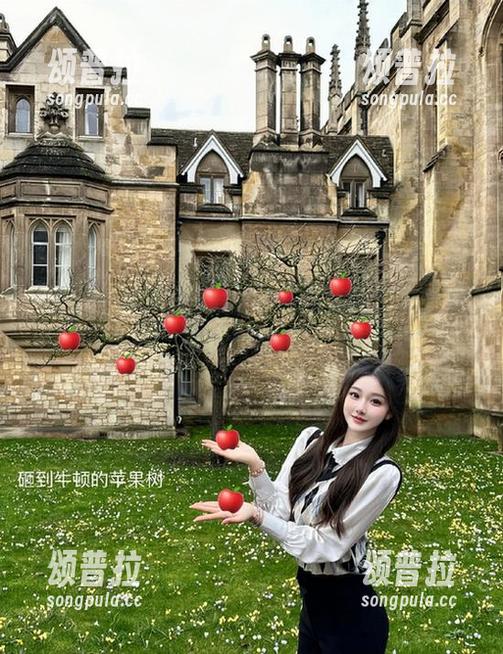 最新正能量黑料社网站震撼发布，娱乐圈黑料一次看个够