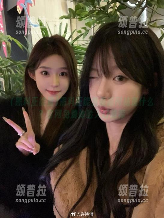 黑料正能量最新网站是什么？官网免费体验入口推荐