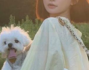 少女控福利：黑料正能量hl独特线路入口全展示