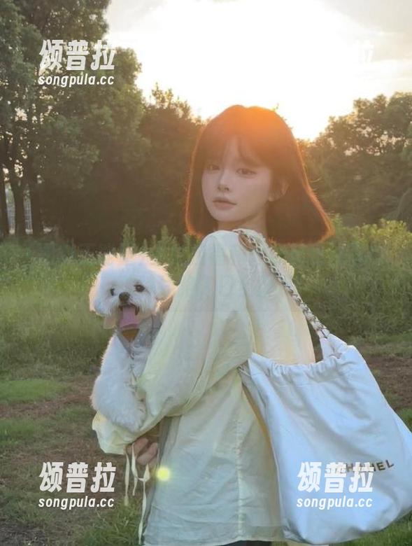 少女控福利：黑料正能量hl独特线路入口全展示