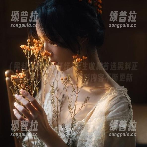 男生收藏首选黑料正能量不打烊2025，精彩内容不断更新